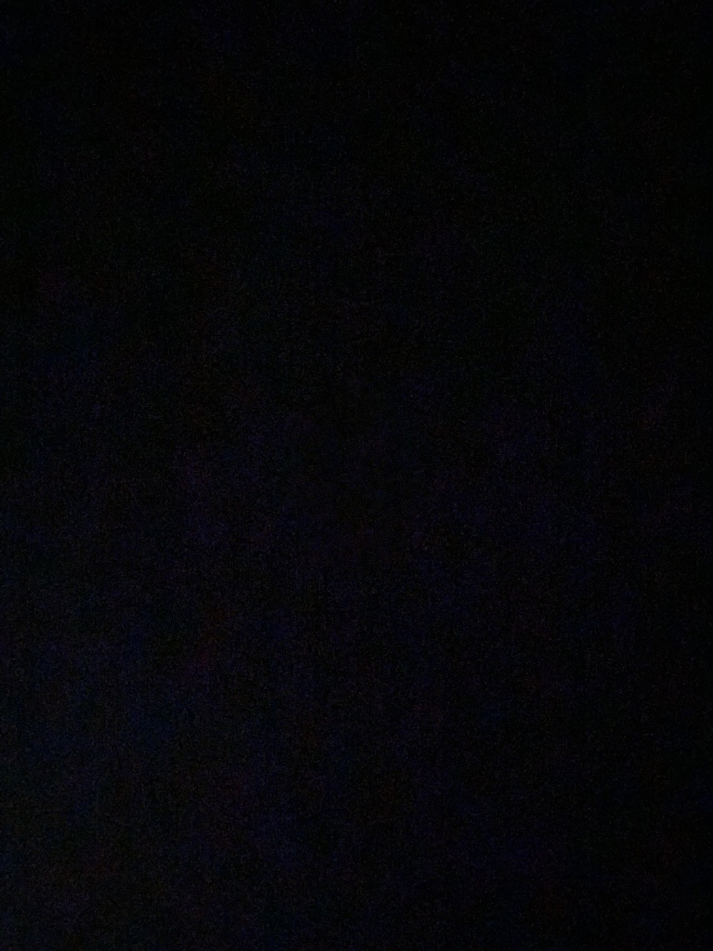 None - Picture 1 of 1